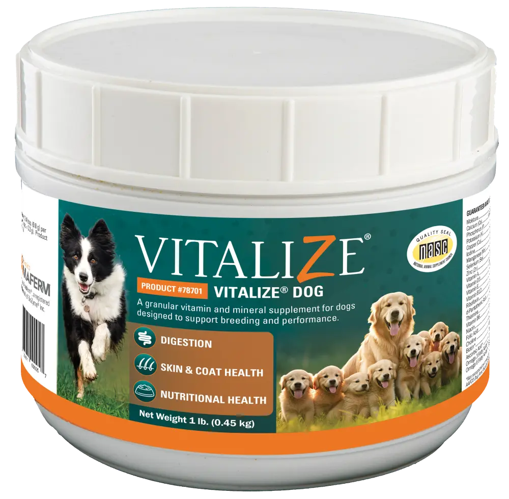 Vitalize® Dog
