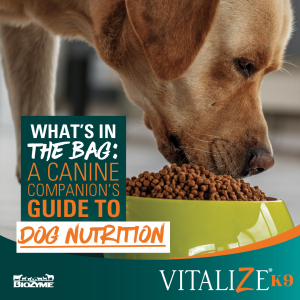 dog nutrition